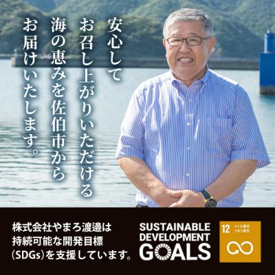 ふるさと納税 佐伯市 ＜訳あり＞ 干物お楽しみBOX (25尾以上) |  | 03