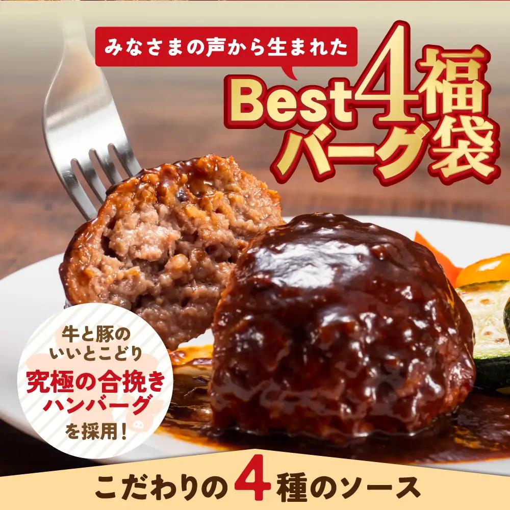 Z61-32 Best4バーグ 20個セット ハンバーグ