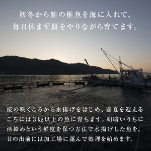 海鮮丼用 みやぎサーモン 中落ち 小分け 200g×5袋 石巻市 宮城県産 銀鮭 真空包装 冷凍 刺身 寿司 丼 1kg