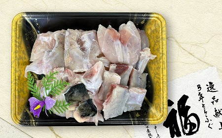 淡路島3年とらふぐ（大サイズ）活あら身まるごと1匹◆配送10月25日～3月31日