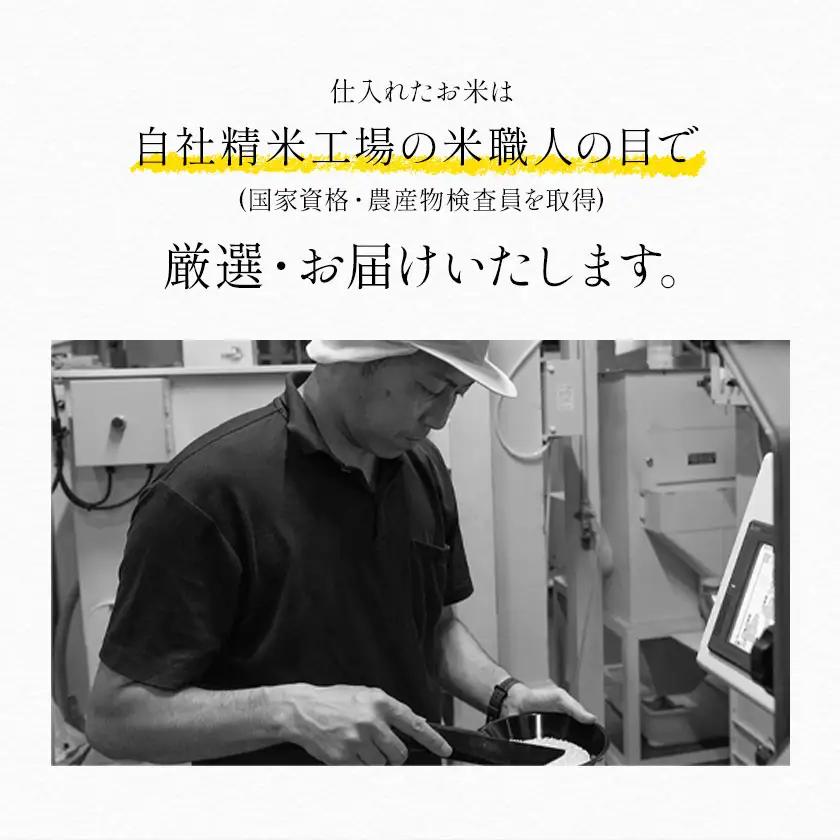 【12ヶ月定期便】令和7年産 米 無洗米 ひのひかりこしひかり 食べ比べ 10kg《お申込み翌月から出荷》 白米 精米 無洗米 熊本県産(南阿蘇村産含む) 単一原料米 南阿蘇村 ひの こし 送料無料 