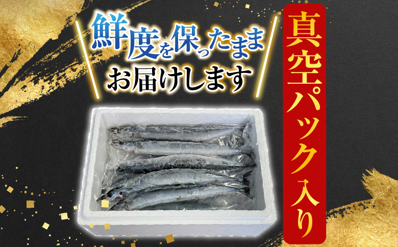 【北海道根室産】冷凍さんま20尾入り A-36003