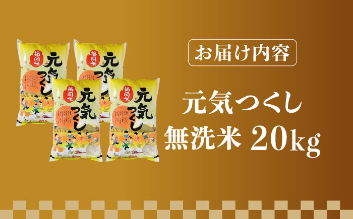 【令和5年産】福岡県産ブランド米「元気つくし」無洗米 20kg (5kg×4袋)《築上町》【株式会社ゼロプラス】 [ABDD006] お米 白ご飯 夢つくし ブランド米 おにぎり