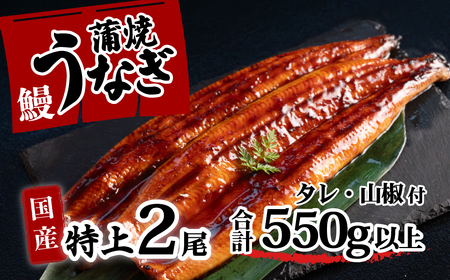 【 お中元 】【化粧箱入り】特上 国産うなぎ 蒲焼 2尾セット 【合計550g以上】 タレ・山椒付 ウナギ 鰻 うな重 ひつまぶし 人気 茨城 八千代町 ふるさと納税 冷凍 ギフト 化粧箱 お中元 中元 熨斗