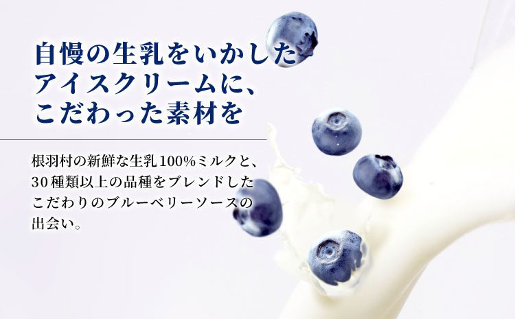 無農薬！皮ごと使用！30品種をブレンドした ブルーベリー アイス(80ml)×7個入り