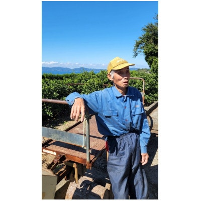 栽培期間中農薬不使用のみかん計6kg【今季限り】【B56-91】【1698402】