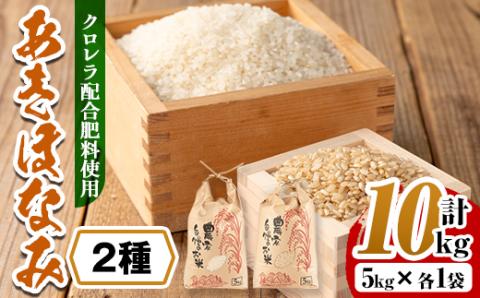 i873-C ＜先行予約受付中！2025年11月上旬以降順次発送予定＞クロレラ米（あきほなみ 白米＋玄米 ・5kg×各1袋・計10kg) 米 お米 10kg 白米 玄米 あきほなみ クロレラ米 健康食品 クロレラ配合 精米 【黄龍農園】