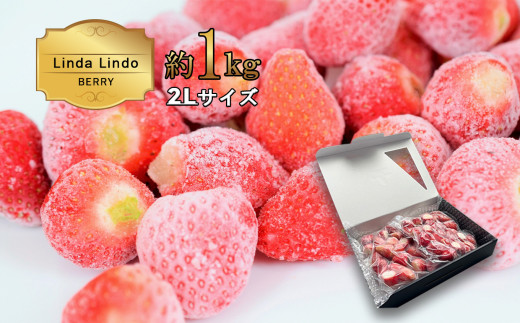 Linda Lindo BERRY 冷凍いちご 約1kg 2Lサイズ | いちご イチゴ 苺 かおり野 よつぼし 甘い まろやか アレンジ ヨーグルト デザート 果物 アイス 冷凍 家庭用 岐阜県 北方町