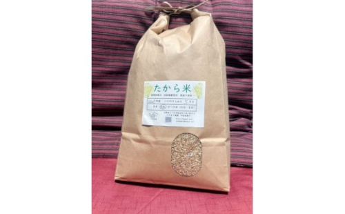 G-158【農薬・化学肥料不使用】循環農法で育てた自然の恵みいっぱいの『たから米５キロ』