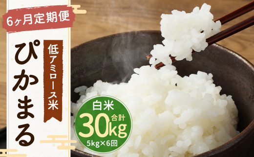 【 新米先行予約 】【 6ヶ月定期便 】 低アミロース米 ぴかまる 5kg 白米 計30kg お米 単一原料米 福岡県産 【2026年11月上旬より順次発送開始予定】
