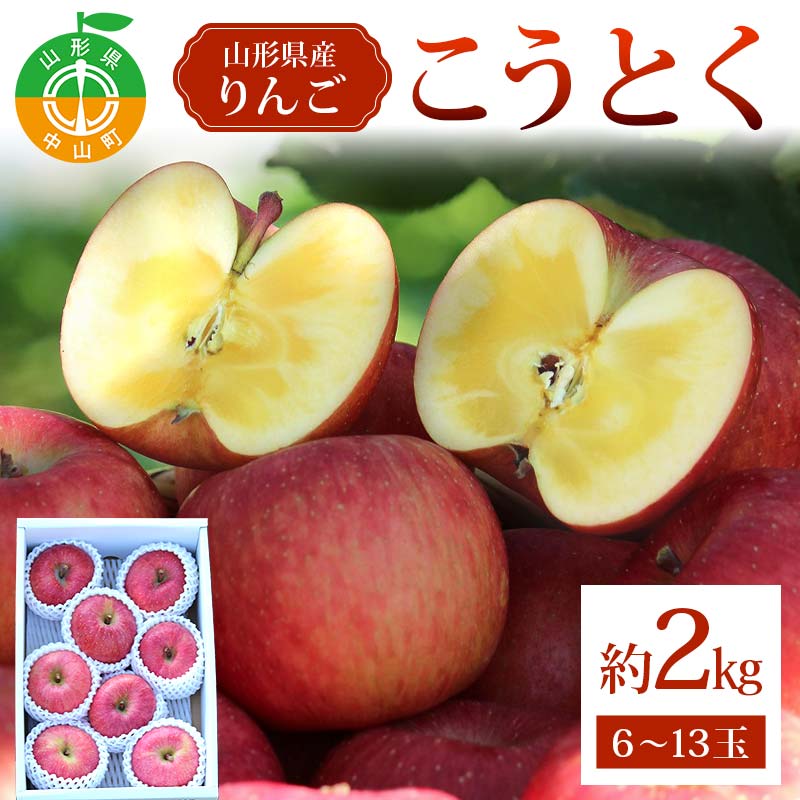 【ふるさと納税】《2026年発送先行予約》こうとく約2kg 6～13玉 こうとく 林檎 リンゴ 果物 くだもの フルーツ 山形県産 F4A-0940