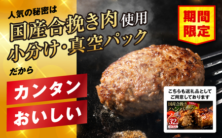 【市制100周年特別規格・期間限定】宮崎県産黒毛和牛ロースステーキ250g×2 合挽きハンバーグ100g×2個 合計700g ミヤチク ステーキ ハンバーグ