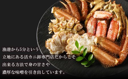 毛ガニ 冷凍 2尾(300ｇ-340ｇ前後)・訳ありイクラ100ｇセット