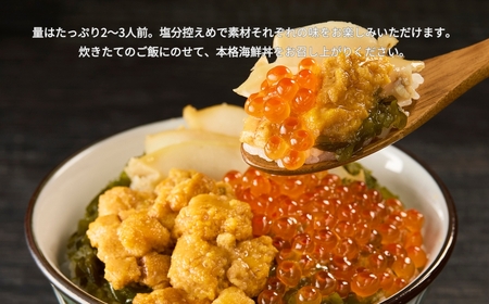 《 12月発送分 》「海女の磯漬け 250g×2箱セット」海鮮 醤油漬け 海の幸 丼の具 うに あわび めかぶ いくら ミックス ギフト 個包装 詰め合わせ 時短 おかず ごはん お茶漬け 冷凍 長期