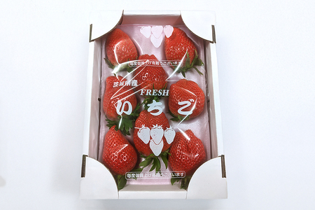 特選12玉　やよいひめ いちご イチゴ フルーツ 果物 茨城県 石岡市 A32-019