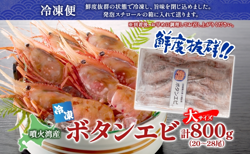 北海道 噴火湾産 冷凍ボタンエビ 大サイズ 計800g 20～28尾 ボタンエビ エビ えび 海老 北海道産 旬 ぼたんえび 刺身 牡丹海老 海鮮 魚介 甲殻類 味噌汁 鍋 海鮮丼 冷凍 洞爺湖町