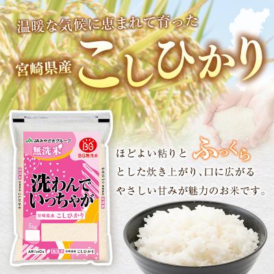ふるさと納税 宮崎県 令和8年産 無洗米 こしひかり 10kg 宮崎県産 米 コメ 精米 BG無洗米 HACCP コシヒカ |  | 01