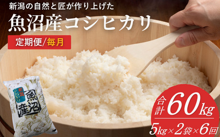 【令和7年産 新米予約 定期便】魚沼産コシヒカリ 精米計60kg(5kg2袋×6回) 毎月お届け 白米 魚沼 米 共栄農工社
