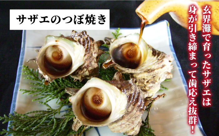 【全12回定期便】焼酎とつぼ焼き・西京漬けセット [JDB164] 144000 144000円