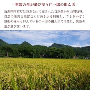 ＜定期便5回＞ 米 10kg 《 新米 新潟県産 コシヒカリ 》 令和8年産 奥阿賀 仁一郎 5kg×2袋 | こしひかり 白米 精米 送料無料 お取り寄せ お米 ※2026年9月下旬頃より順次発送