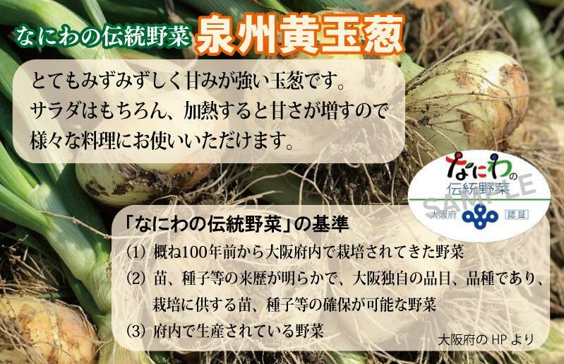 【先行予約】 数量限定 幻のたまねぎ 泉州黄玉ねぎ 10kg【新鮮 野菜 泉佐野産 茄子 やさい 高評価 数量限定】 010B259