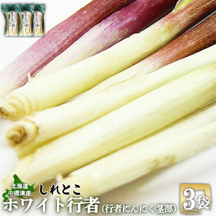 【ふるさと納税】行者にんにく ホワイト行者 茎部 3袋 オンライン 申請 ふるさと納税 北海道 中標津 行者ニンニク 幻の山菜 山菜 山の幸 野菜 疲労回復 健康効果 長寿 体力増強 ダイエット効果 揚げ物 炒め物 醤油漬け おかず 冷凍【20012】