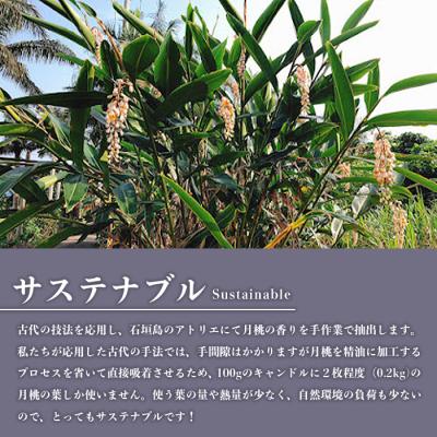 ふるさと納税 石垣市 100%石垣島の月桃の香りで作ったアロマキャンドル |  | 01