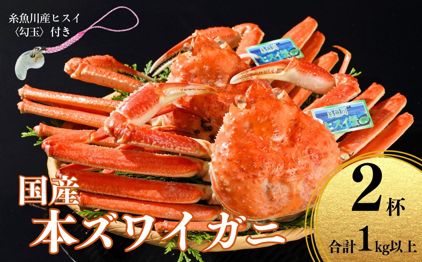 〈期間限定〉本ズワイガニ  500g以上×2杯 計1kg以上 《ヒスイ勾玉付き》 姿 茹で蟹 糸魚川産 鮮度が命！茹でたて直送 ずわいがに かに 蟹 ヒスイ水産 国産 日本海 新潟 新鮮 タグ付き 11月から漁開始 ギフトにも おススメ カニ ヒスイ蟹 まがたま