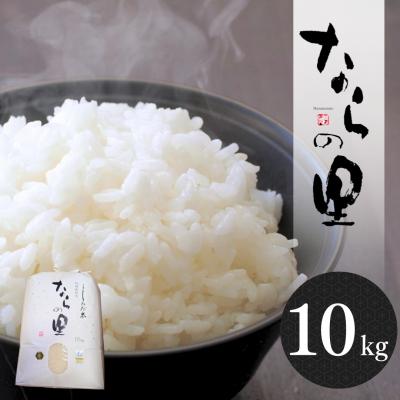 ふるさと納税 三条市 新米 新潟県産コシヒカリ「ならの里」10kg 特別栽培米 令和7年産米【026S038】