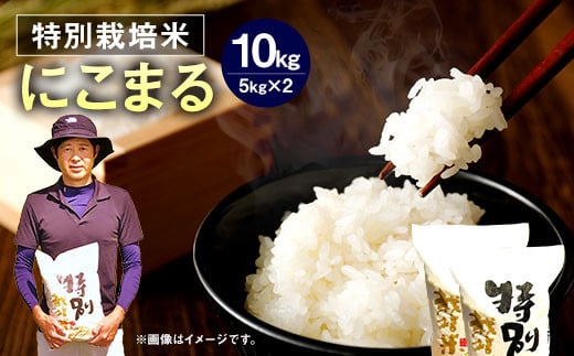 【令和6年産】 相良村産 特別栽培米 にこまる10kg 【2024年10月下旬～2025年10月下旬発送予定】 お米 白米 精米