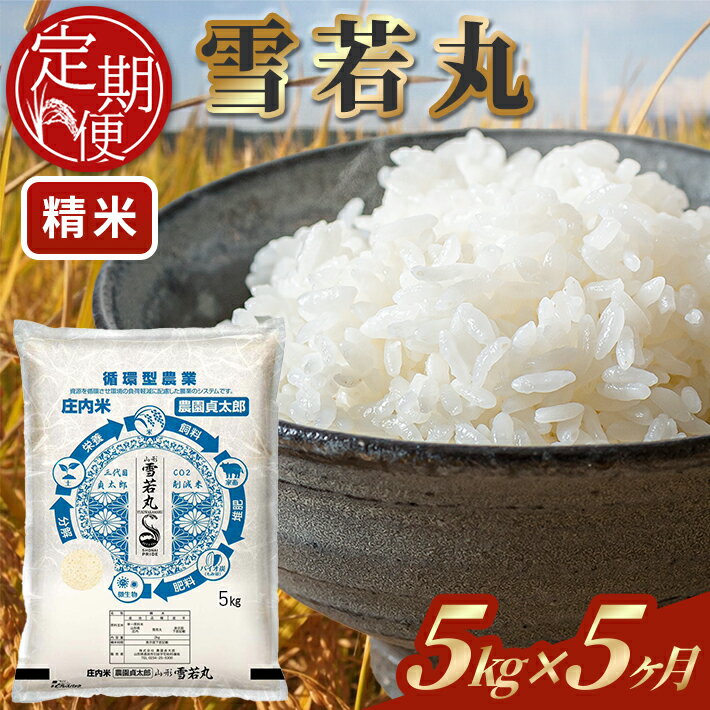 【ふるさと納税】≪5ヶ月定期便≫ 雪若丸 精米 5kg×5ヶ月連続 計25kg 令和7年産 山形県産 ご希望期間の毎月下旬にお届け 白米 庄内米 米 ごはん ご飯 酒田市 庄内 山形県 東北 定期便 5回