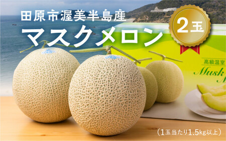 渥美半島産 マルカ農園のマスクメロン 2玉 (1玉1.5kg以上) めろん 箱詰め フルーツ 果物 田原市 産地直送 夏 10000円 1万円