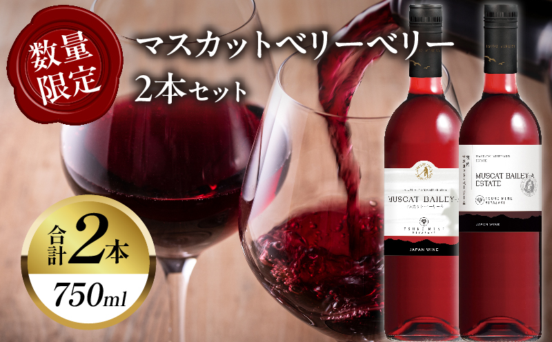 【数量限定】マスカットベリーベリー2本セット ワイン 酒 飲料 アルコール 国産_T014-057