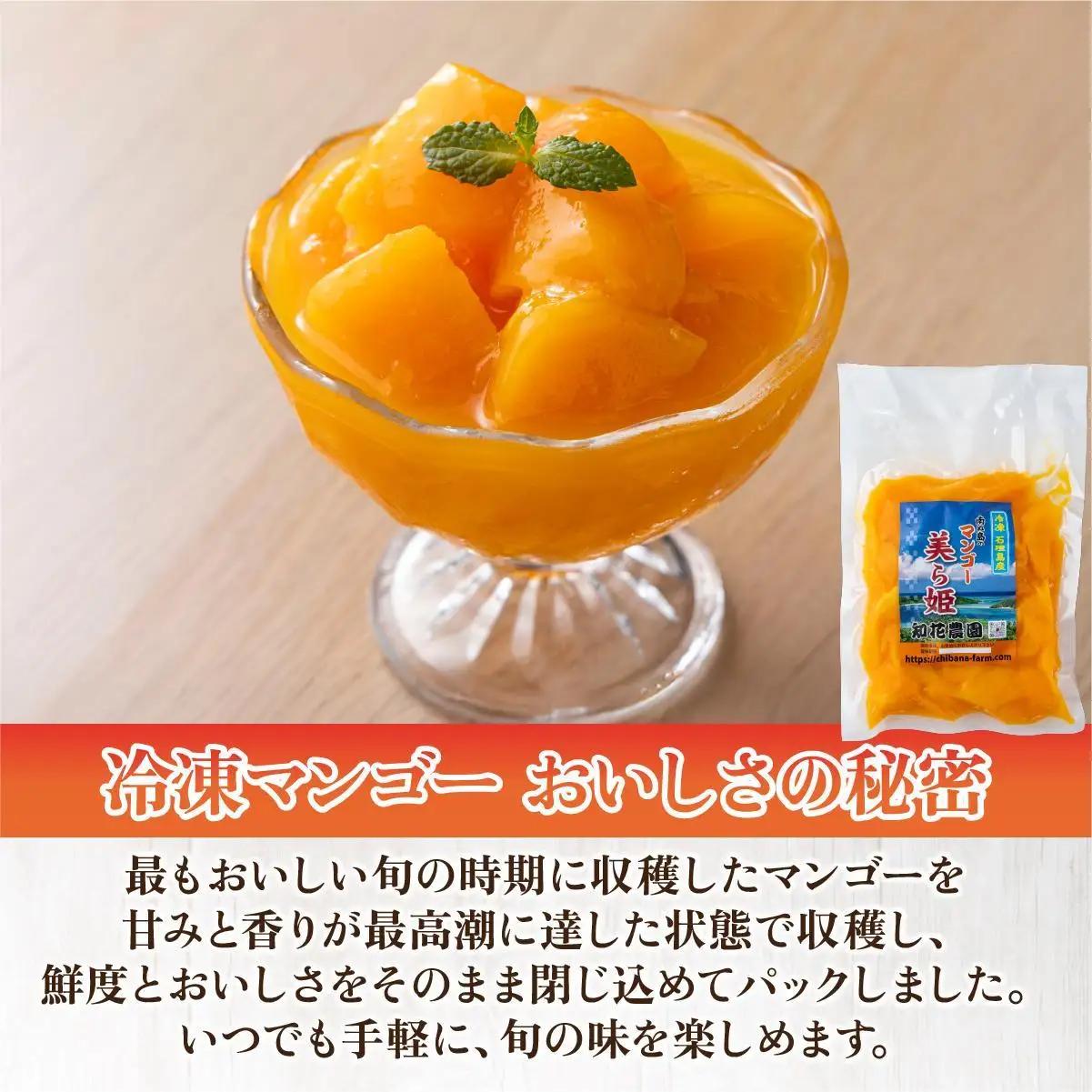 冷凍美ら姫マンゴー 2kg（500g×4袋）CB-4
