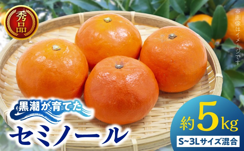 
                  AE6116_【秀品】 黒潮が育てた セミノール 約5kg (S~3Lサイズ混合) 
                