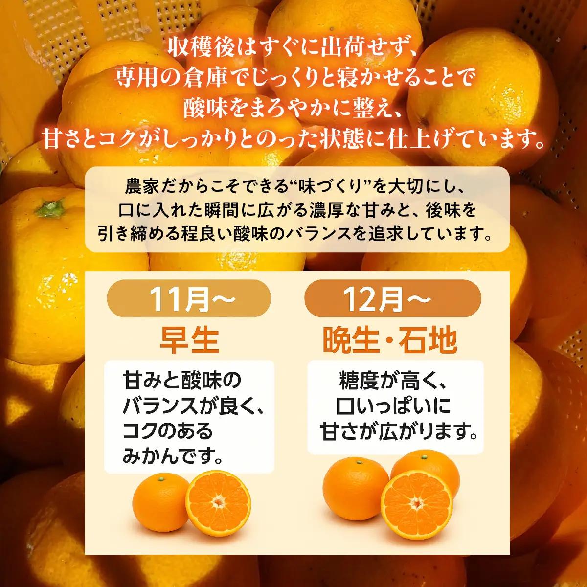 【先行受付】西宇和益田農園直送 愛媛みかん 3.3kg《訳あり》甘さと酸味の濃厚な味【103-1】　YWTBZ001