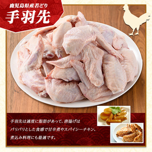 若どりモモ肉4kg・手羽先4kgセット(合計8kg)【まつぼっくり】matu-6099