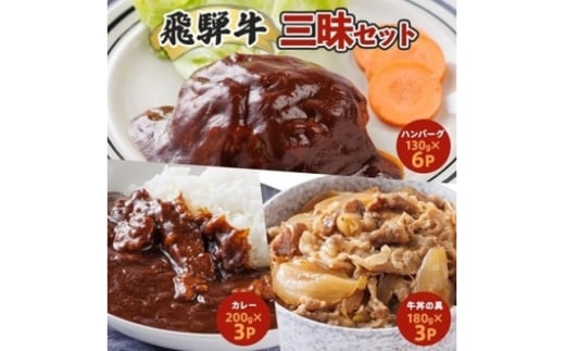 ＜2ヵ月毎定期便＞飛騨牛三昧(ハンバーグ・カレー・牛丼の冷凍食品3種セット)全3回【4079778】