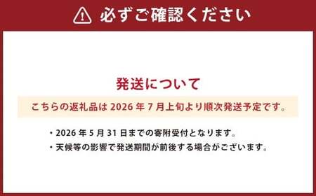 熊本県産 ハウスみかん 約5kg 約48～60個 【2026年7月上旬発送開始】 果物 フルーツ みかん 蜜柑 ミカン 柑橘