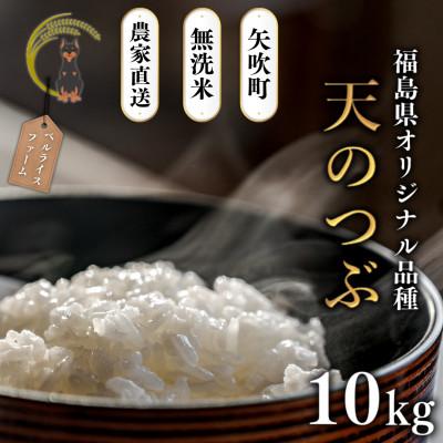 ふるさと納税 矢吹町 【令和7年産米先行受付】無洗米 農家直送 ベルライスファームの天のつぶ 10kg