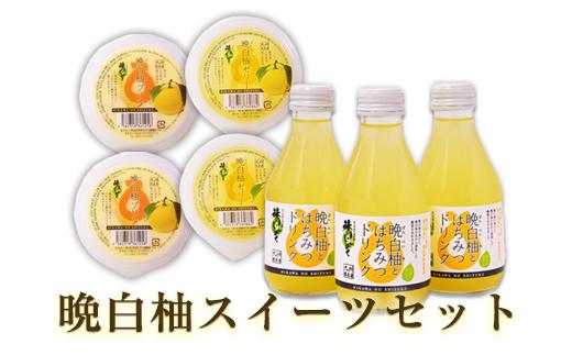 晩白柚スイーツセット ゼリー プリン はちみつドリンク 道の駅竜北 《60日以内に出荷予定(土日祝除く)》---sh_michisweetset_60d_21_13000_3s---