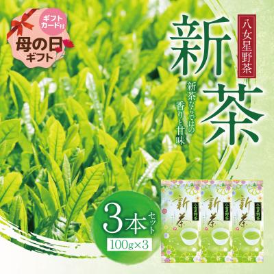 ふるさと納税 福智町 【母の日】新茶 八女星野茶　100g×3本