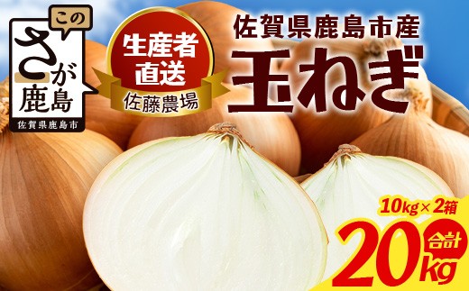 
                  ＼生産者直送／佐藤農場が育てた鹿島市産玉ねぎ 10kg×2箱（20kg）｜鹿島市産 玉ねぎ 佐藤農場 産地直送 新鮮 野菜 大容量 C-205
                