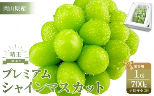 【定期便 全2回】2025年先行予約 プレミアム　シャイン　マスカット  晴王 1房 約700g  2回定期便　９月・１０月に１回づつお届け岡山県産　船穂産　赤秀品  種無し 皮ごと食べる 旬の美味しさ  フレッシュ 贈答用　ハレノフルーツ