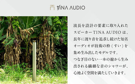 知名オーディオ TINA AUDIO 商品券 (10000円分) 商品券 券 商品 チケット ギフト 沖縄市 / 有限会社知名御多出横[BCAB005]