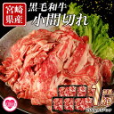 【ふるさと納税】＜宮崎県産黒毛和牛切り落とし (総量1kg)＞ 200g×5P 牛肉 ビーフ お肉 小間切れ こま切れ 小分けパック 炒め物 煮物【MI111-mk】【まきの屋】