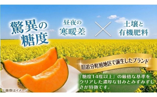【2027年先行予約】おいわけメロン 1.6kg以上×2玉【配送指定なし】赤肉メロン 糖度16度以上 北海道安平町産 ギフト お中元 ※着日指定不可