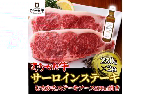 むなかた牛サーロインステーキ 500g（250g×2枚）ステーキソース付き【すすき牧場】_HA1261