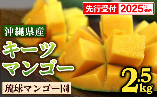 【先行受付】【2025年発送】琉球マンゴー園のキーツマンゴー約2.5kg