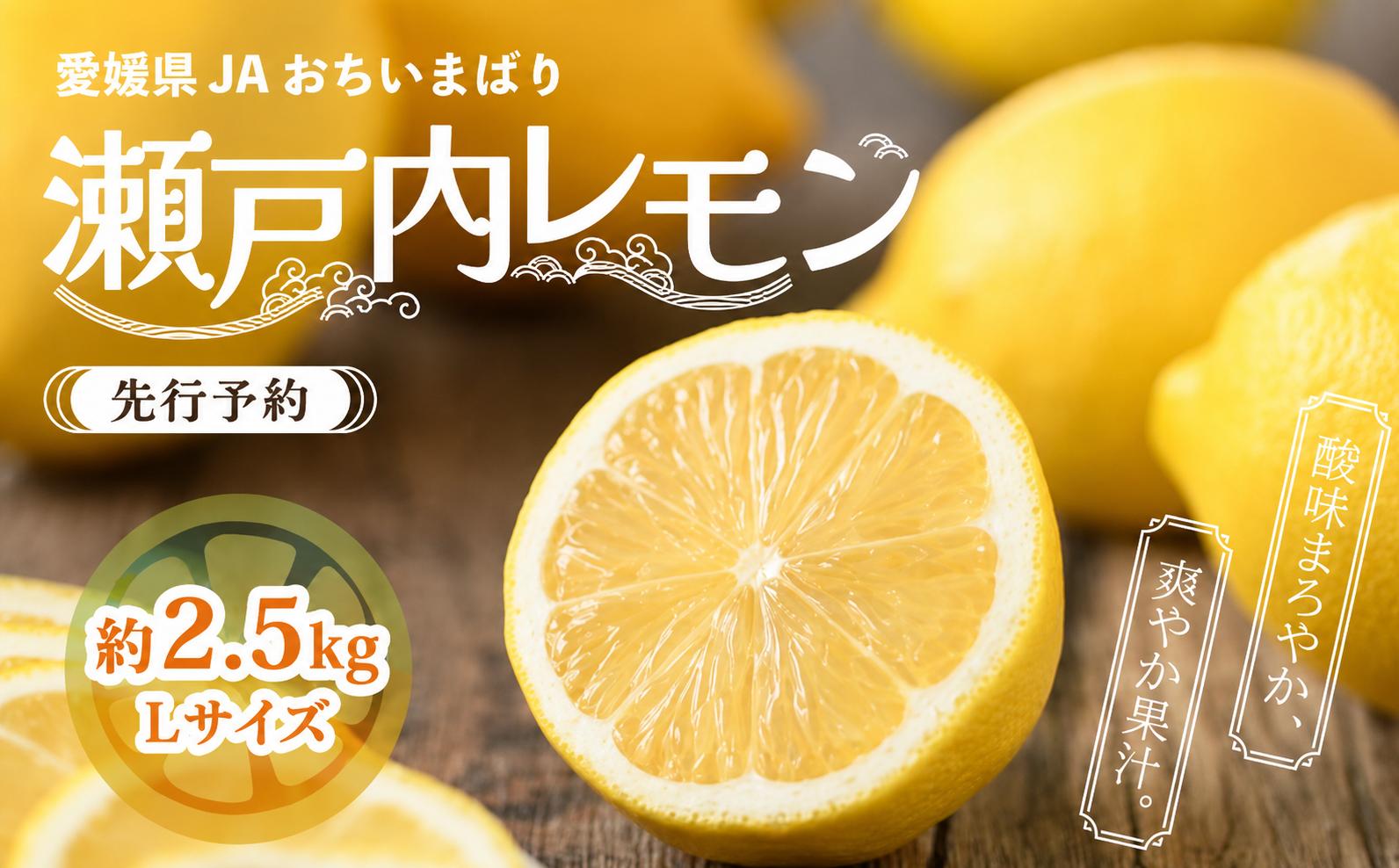 
                  ＜先行予約＞瀬戸内レモン小箱 約2.5kg(秀Lサイズ) | れもん レモン 檸檬 lemon 完熟 柑橘 国産 愛媛県産 新鮮 瀬戸内海 瀬戸内 JA選果品
                